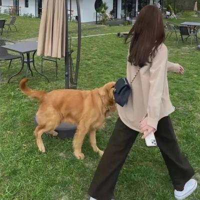 爸爸去哪儿第四季